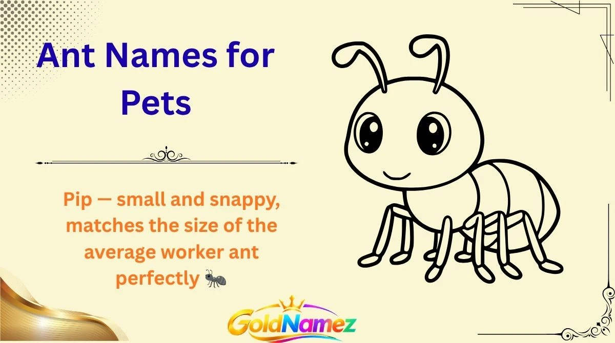 Ant Names for Pets