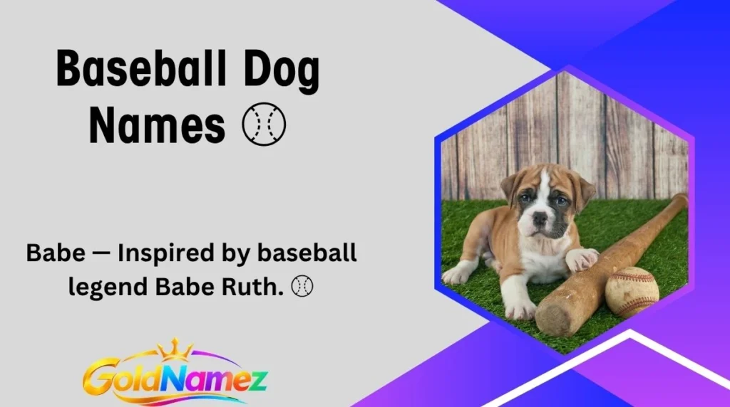 Baseball Dog Names