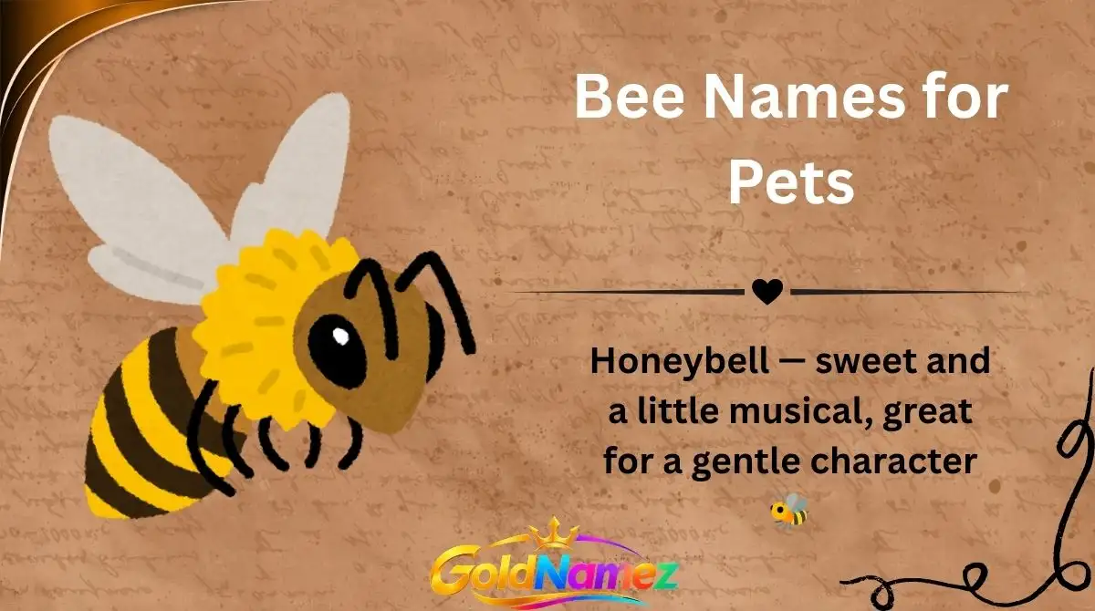 Bee Names for Pets