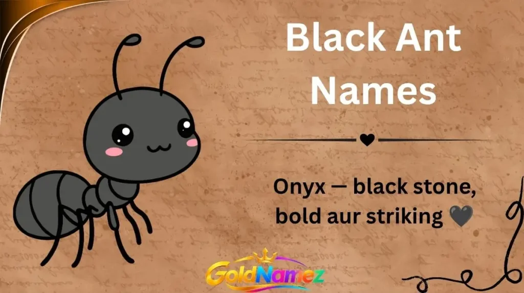 Black Ant Names
