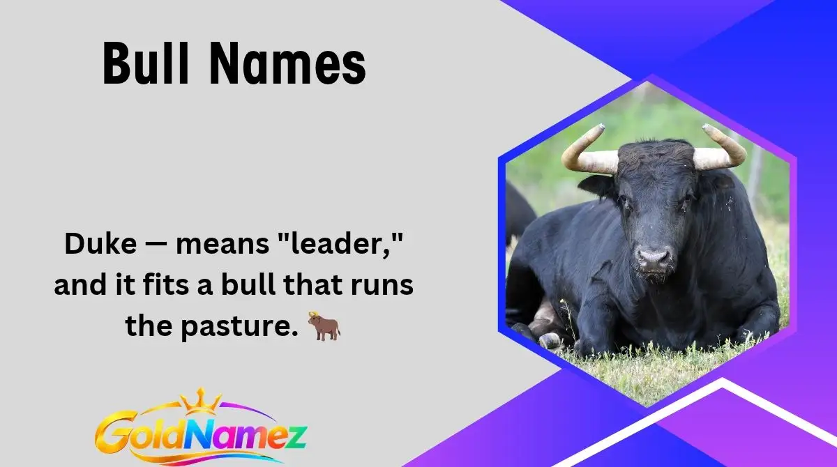 Bull Names