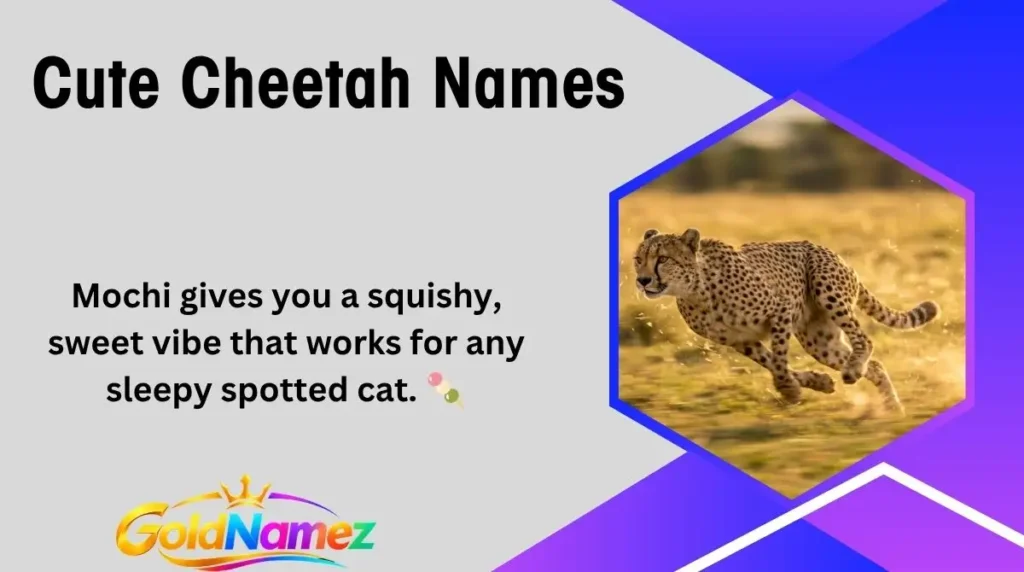 Cute Cheetah Names