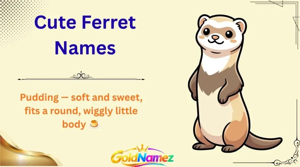 Cute Ferret Names