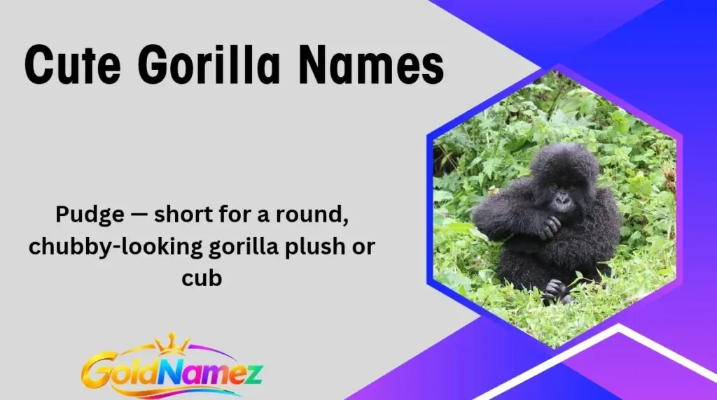 Cute Gorilla Names