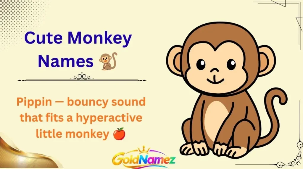 Cute Monkey Names