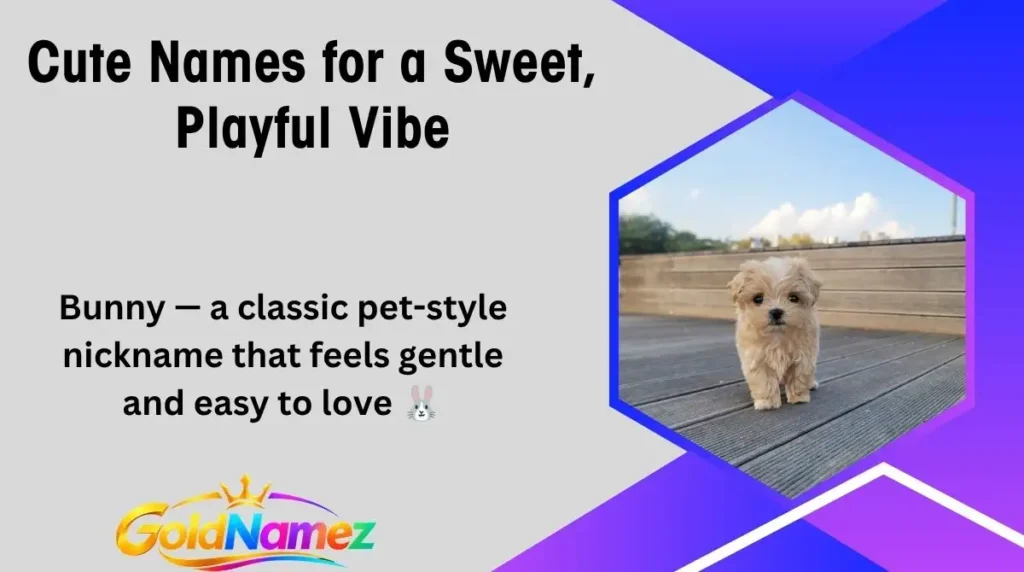 Cute Names for a Sweet, Playful Vibe