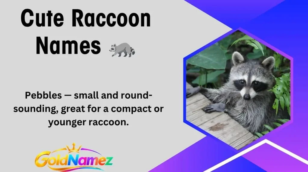 Cute Raccoon Names