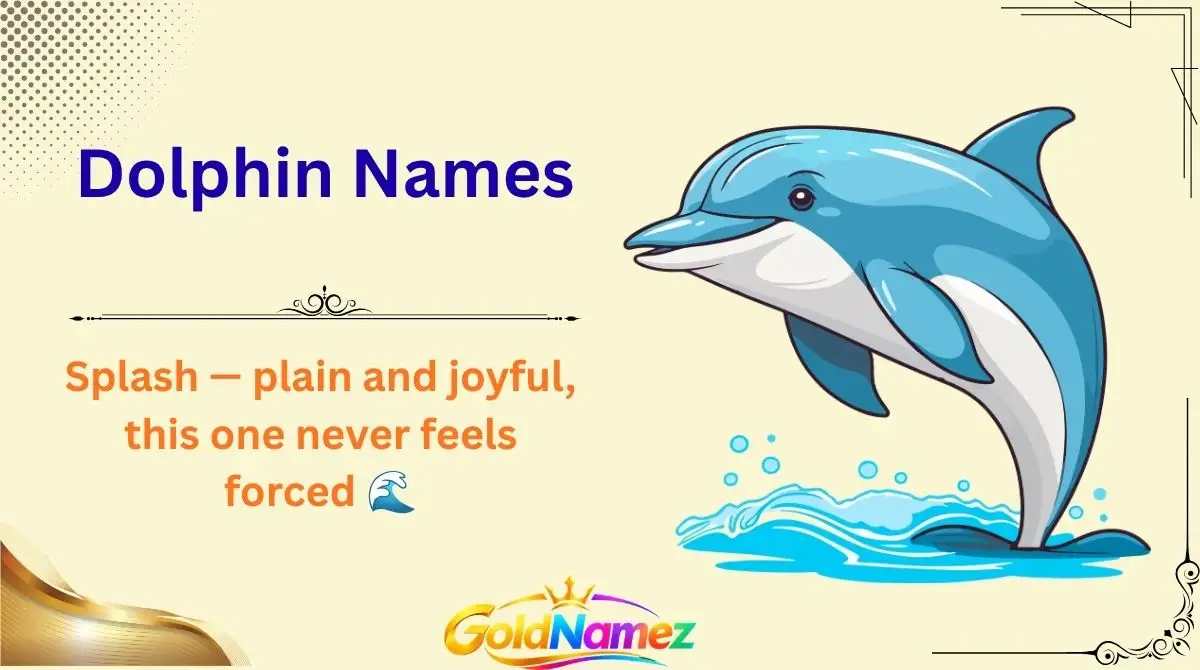 Dolphin Names