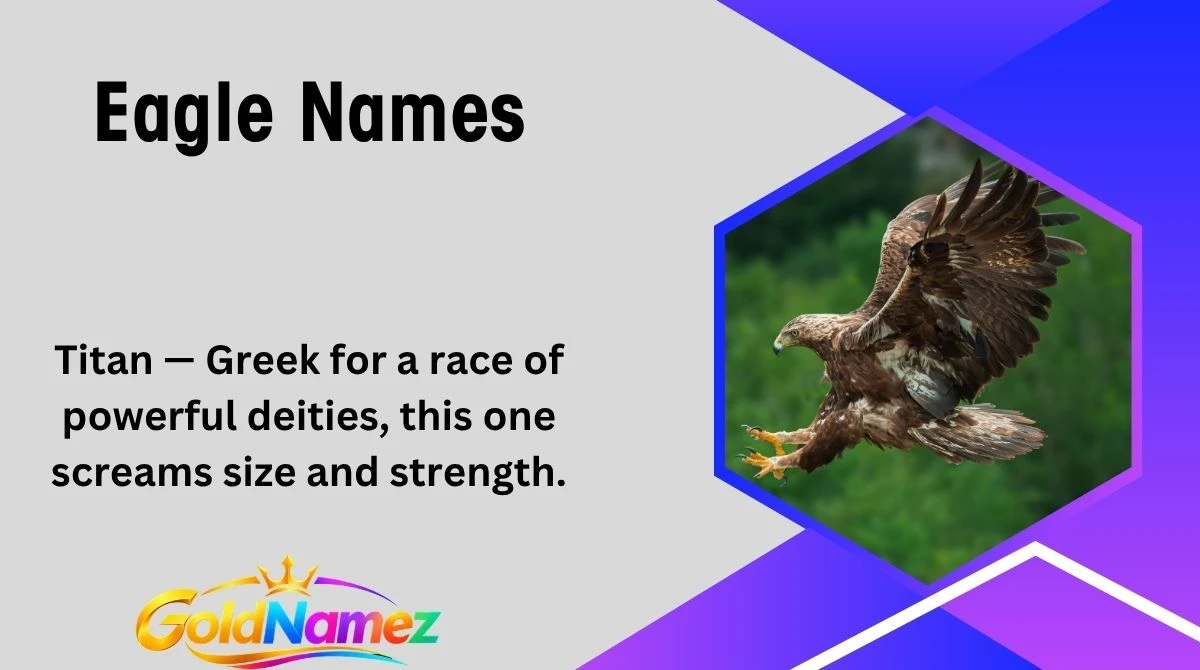 Eagle Names