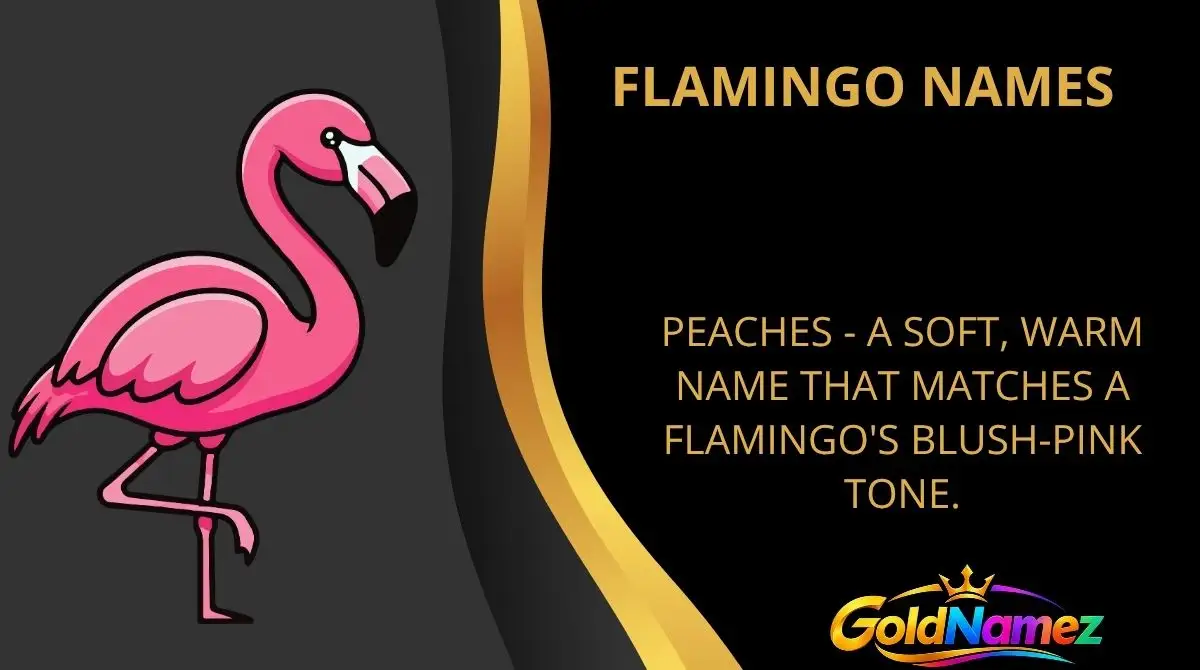 Flamingo Names