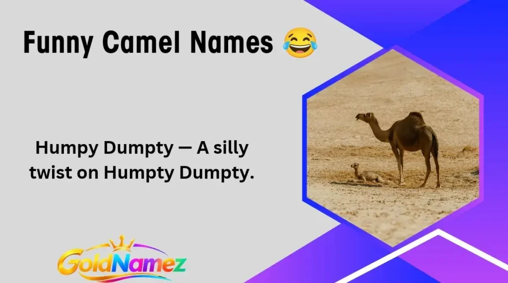 Funny Camel Names