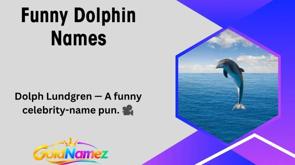 Funny Dolphin Names