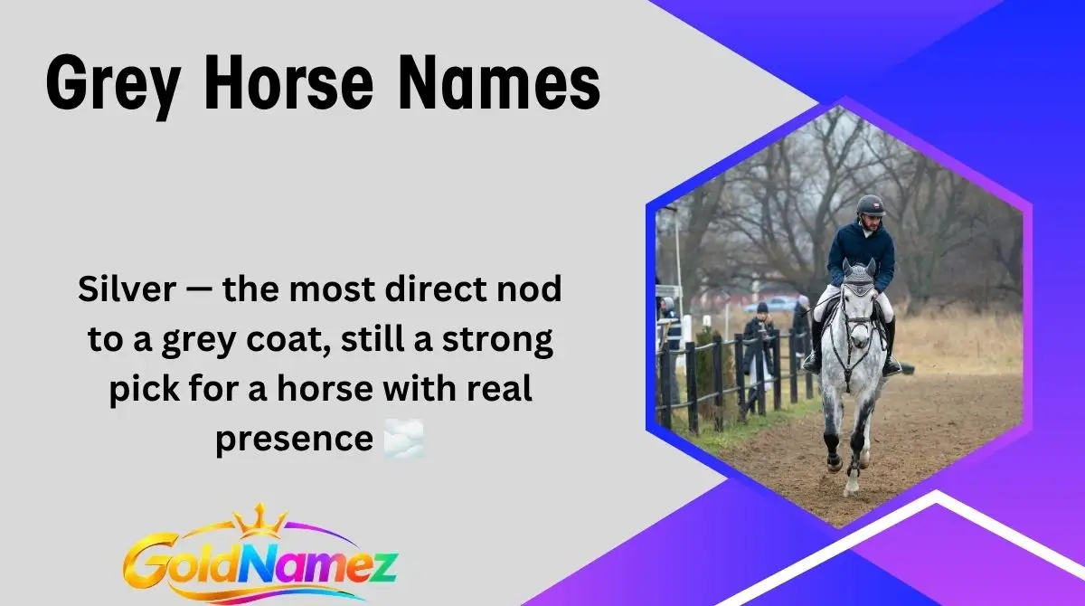 Grey Horse Names
