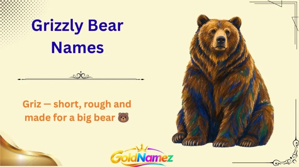 Grizzly Bear Names