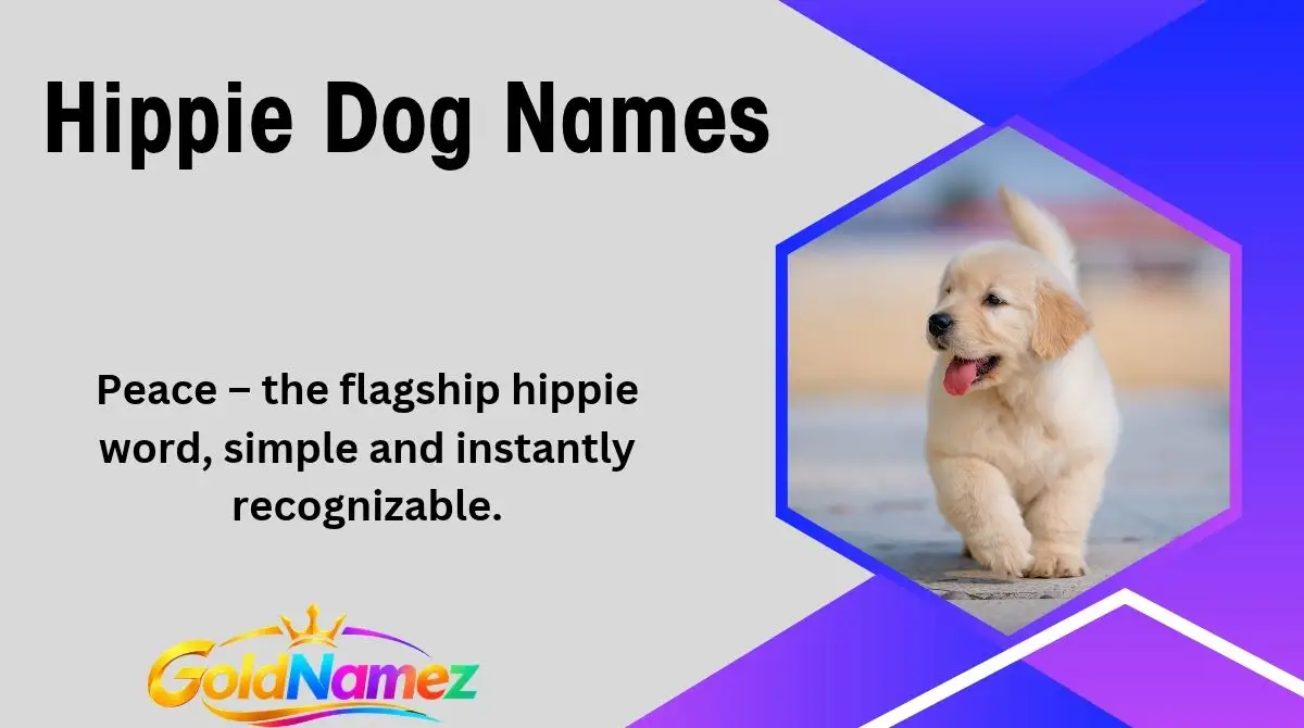 Hippie Dog Names