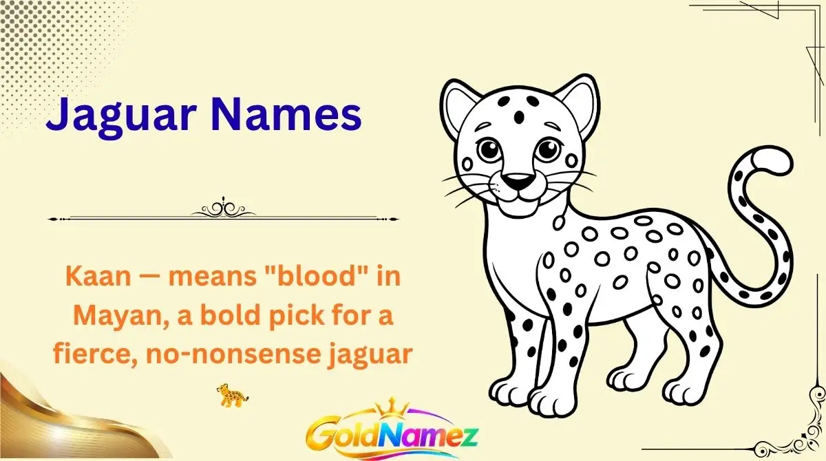 Jaguar Names