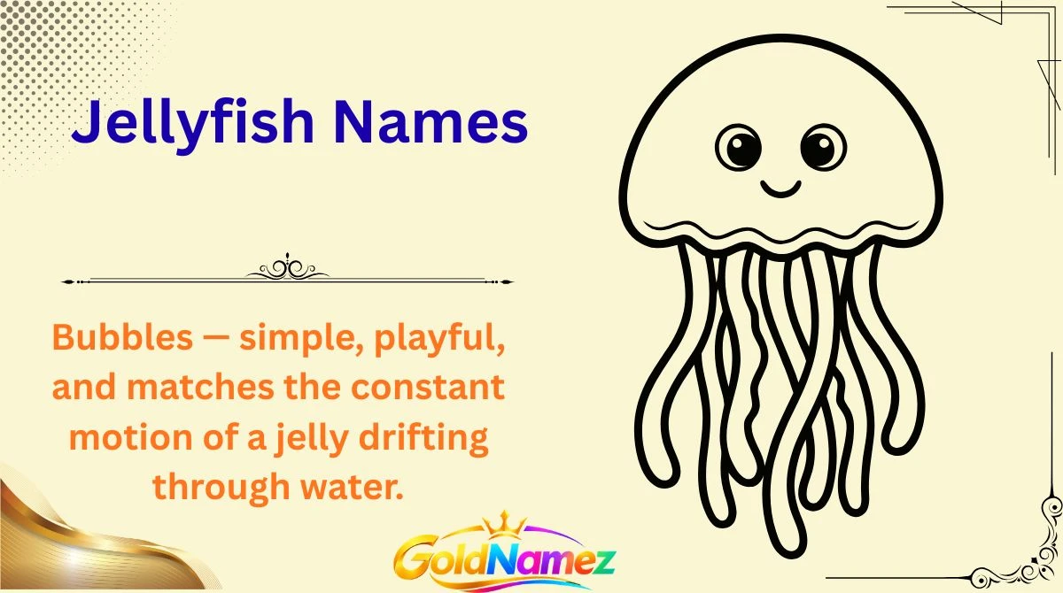 Jellyfish Names