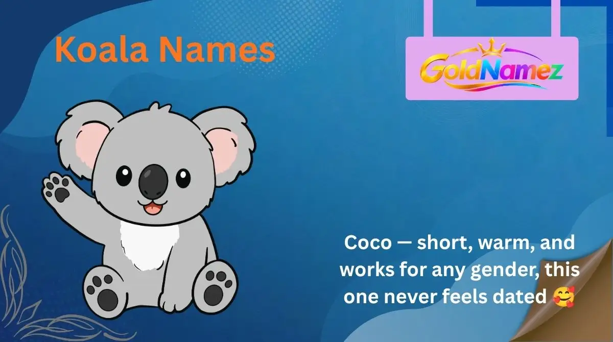 Koala Names