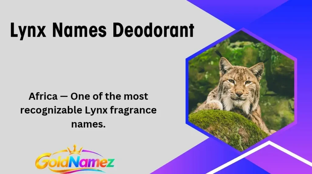 Lynx Names Deodorant