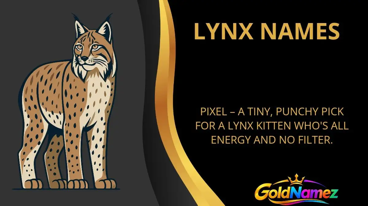 Lynx Names