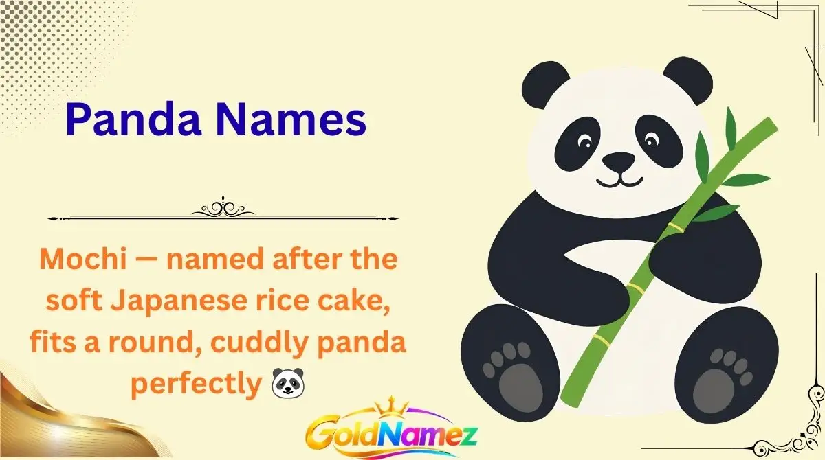 Panda Names
