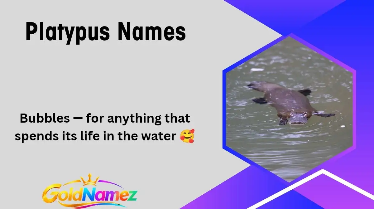 Platypus Names