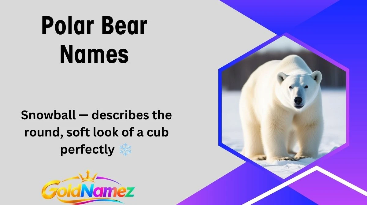 Polar Bear Names