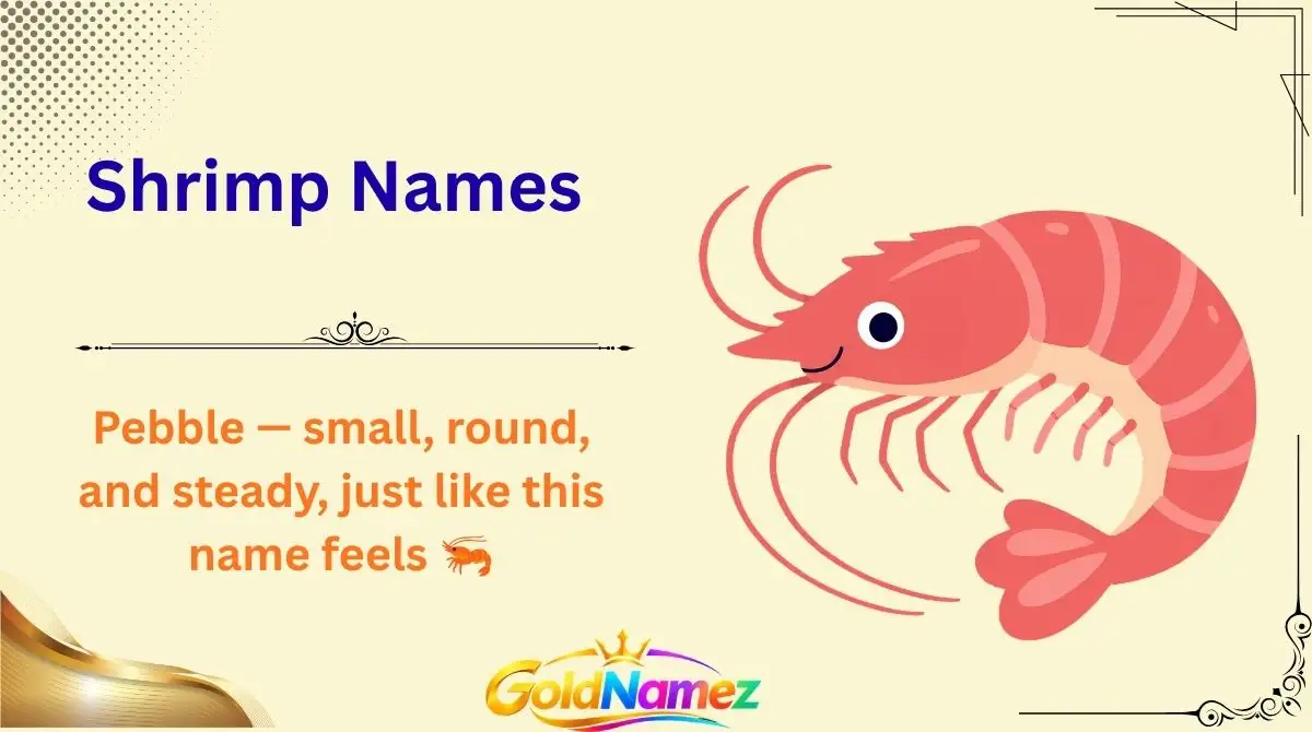 Shrimp Names