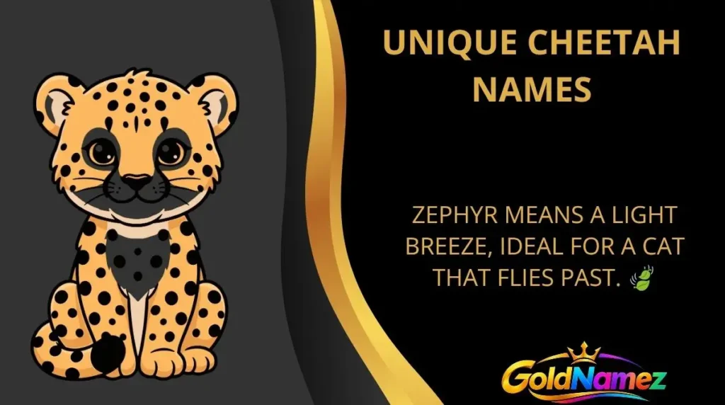 Unique Cheetah Names