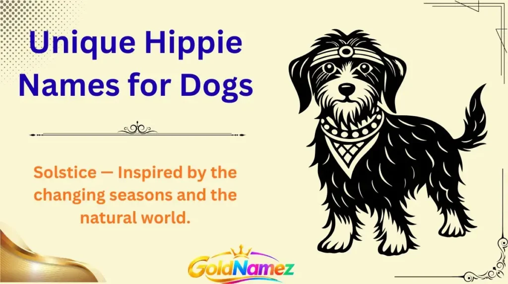 Unique Hippie Names for Dogs