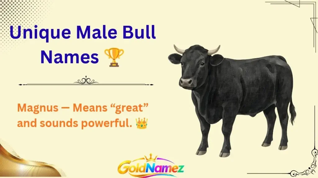 Unique Male Bull Names