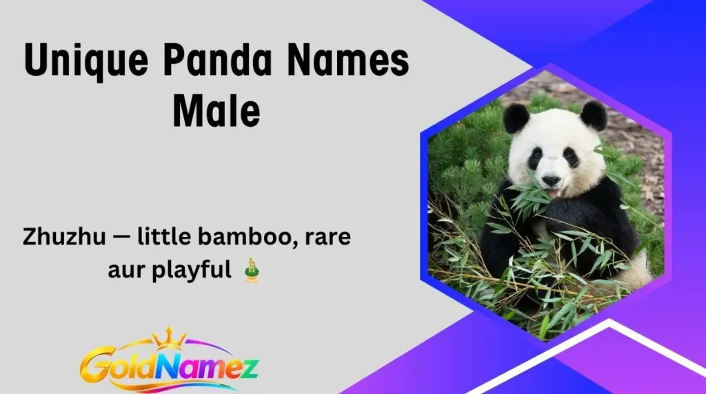 Unique Panda Names Male