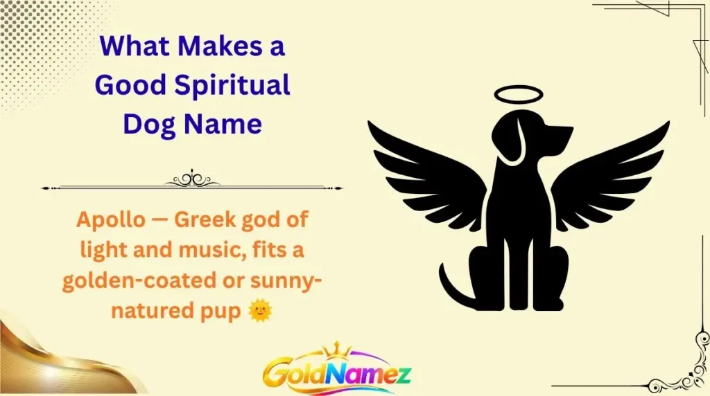 What Makes a Good Spiritual Dog Name